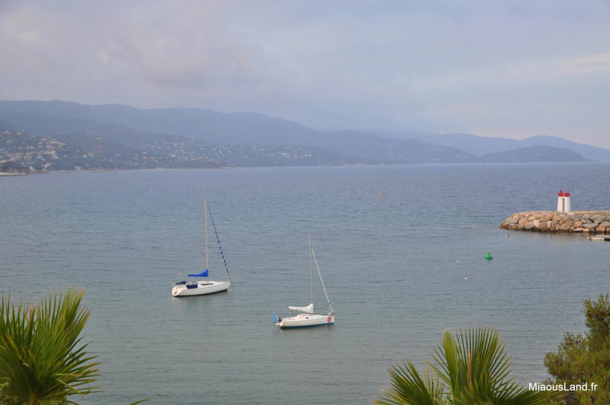 04 - La faviere - Vue sur la baie du Lavandou