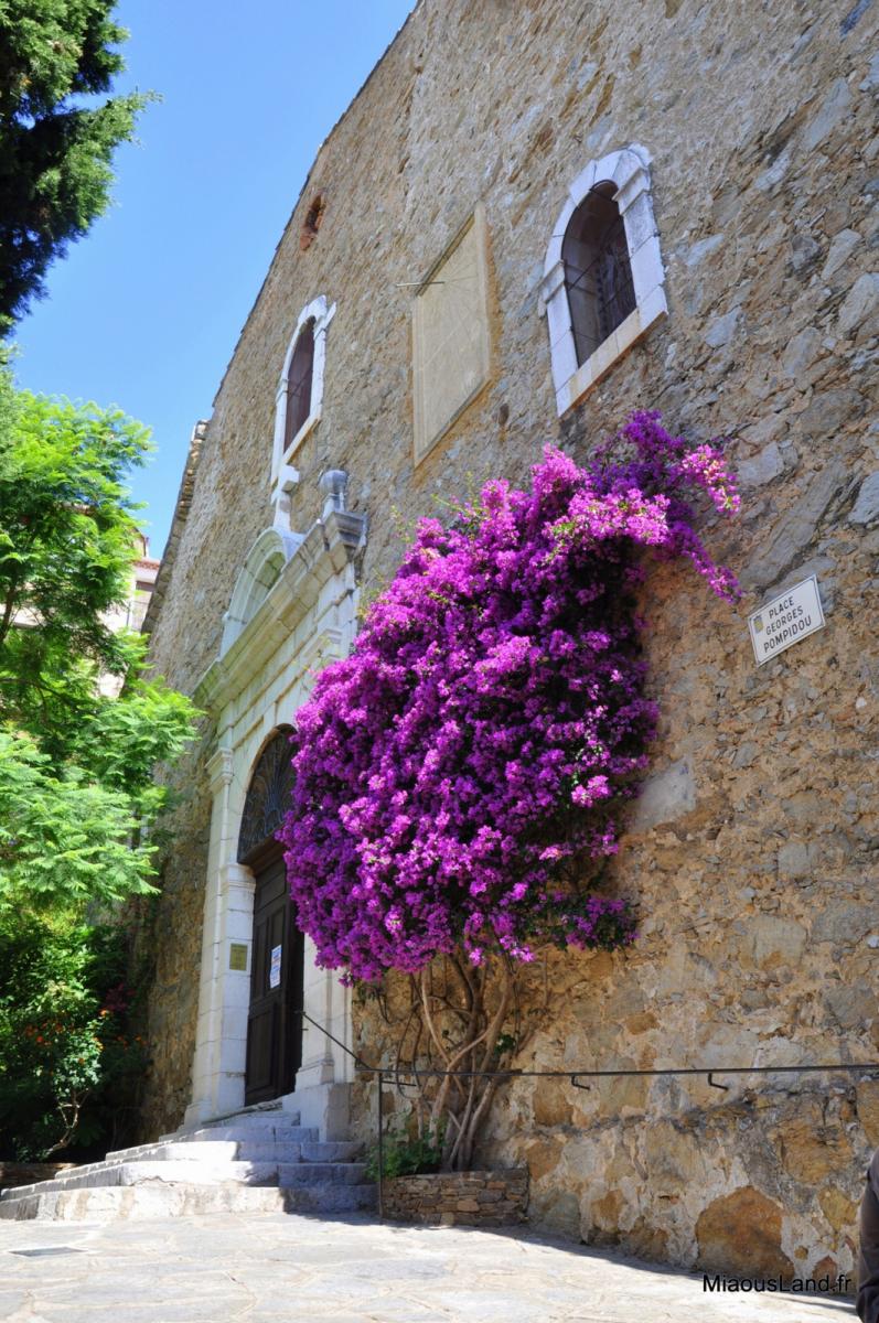 09 - Bormes les mimosas - Eglise