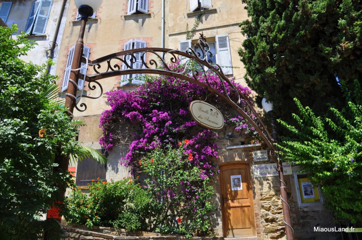12 - Bormes les mimosas - Venelle
