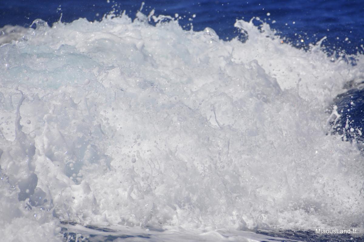 46 - Port Cros - Vagues