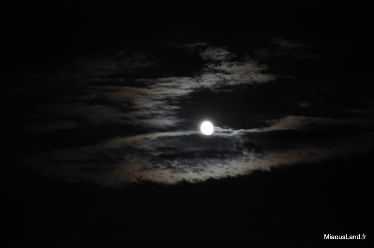 47 - Le Lavandou - Lune