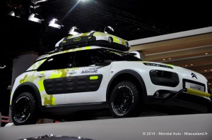 028 - Salon Auto 2014