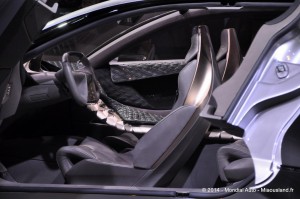 033 - Salon Auto 2014