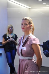 250 - Salon Auto 2014