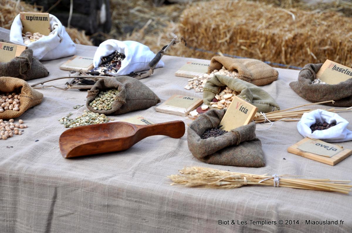 004 - Biot et Templiers 2014