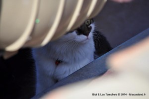 110 - Biot et Templiers 2014