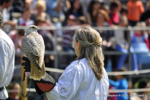 114 - Biot et Templiers 2014