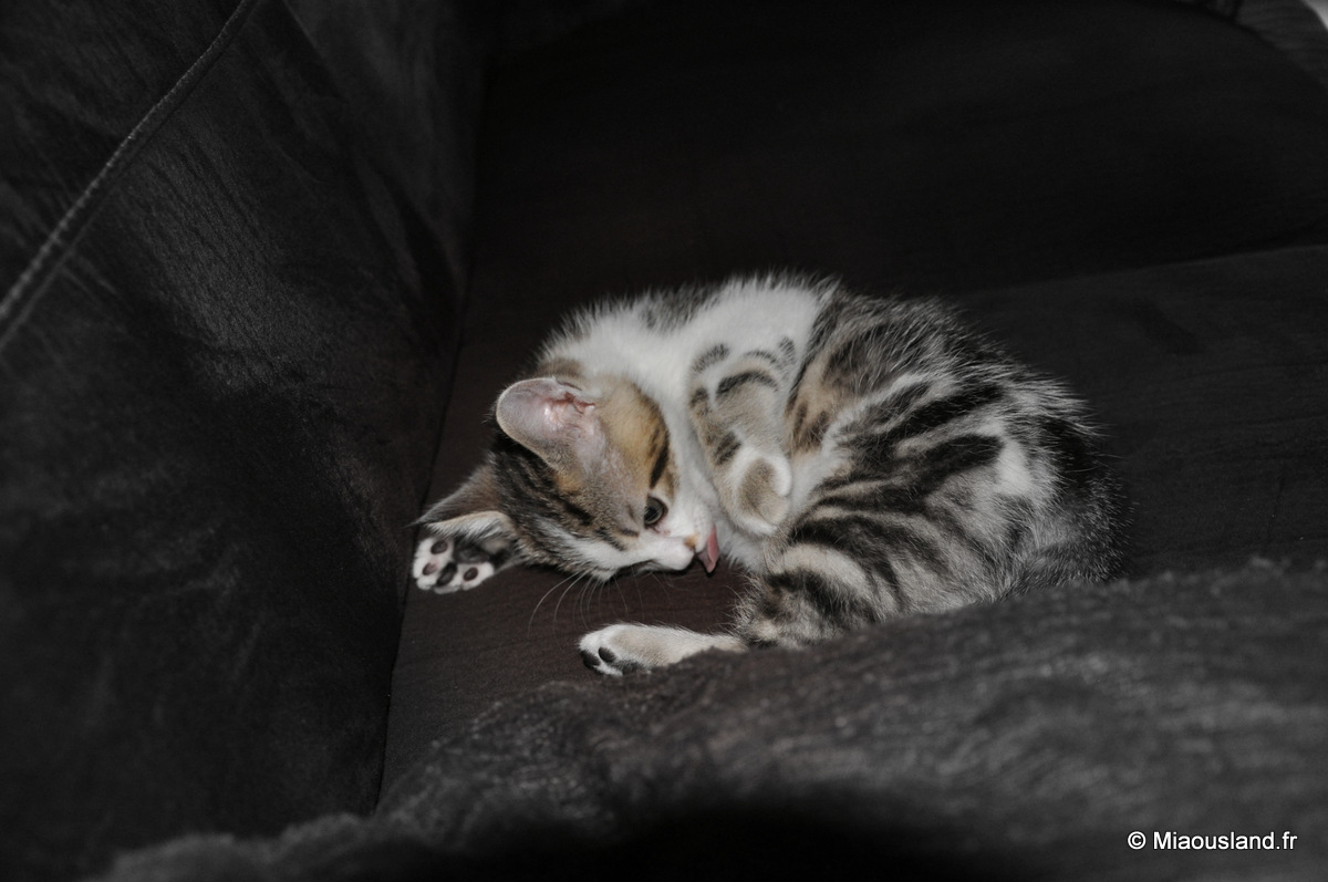 07 - Wazaby - Une pause bien mrite