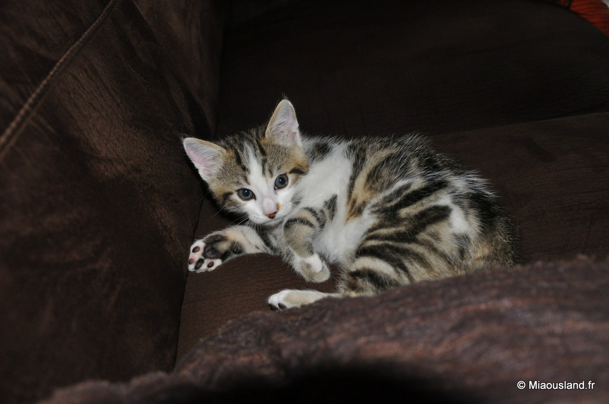 08 - Wazaby - Une pause bien mrite