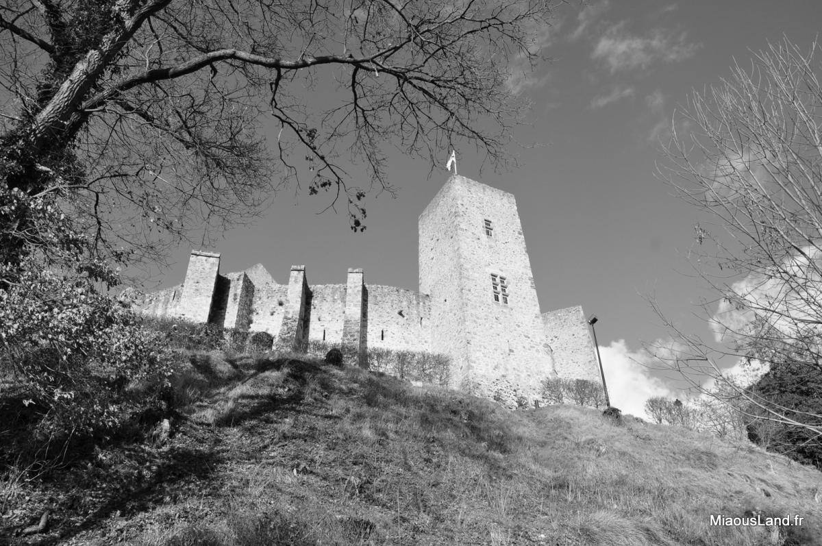 04-chteau de la Madeleine
