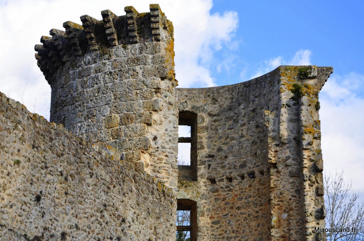 11-chteau de la Madeleine