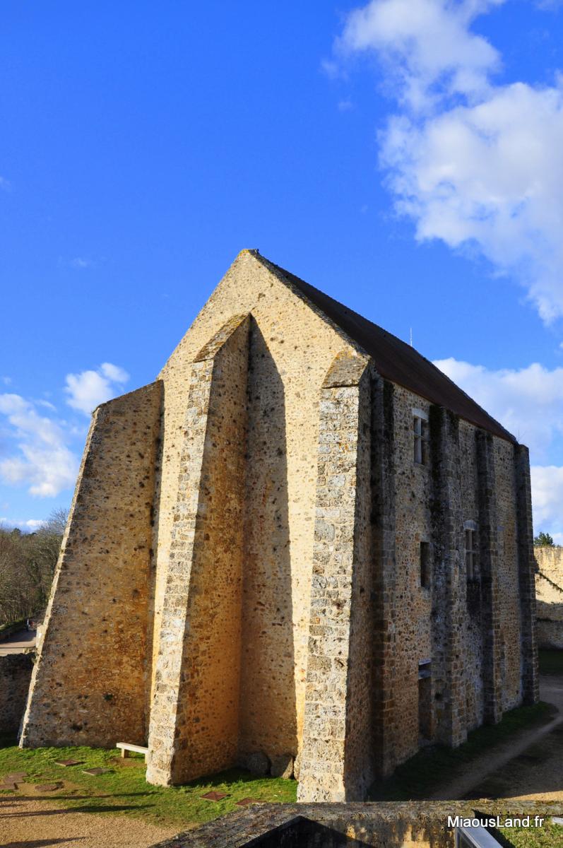 15-chteau de la Madeleine