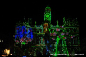 135 - Fete Lumieres 2013