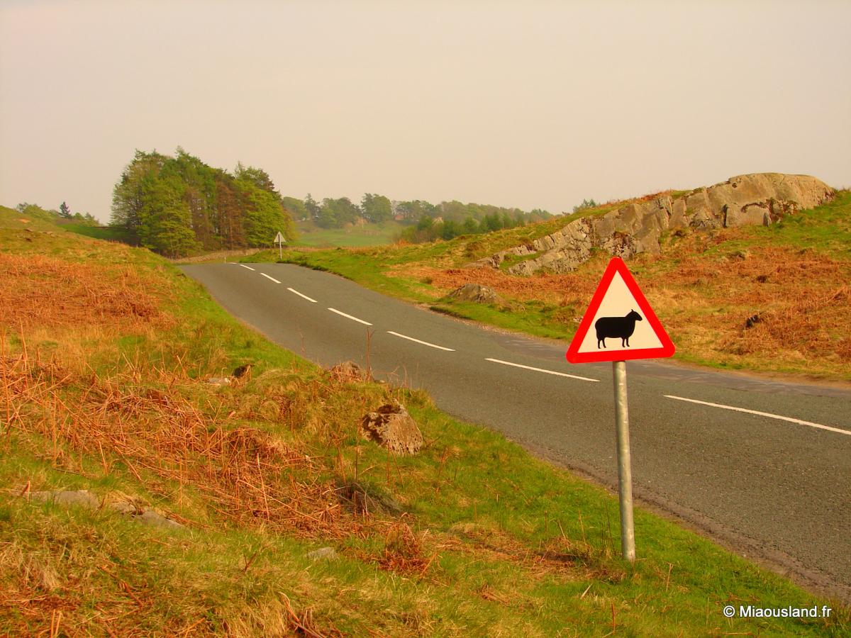 05 - Elterwater - Sign