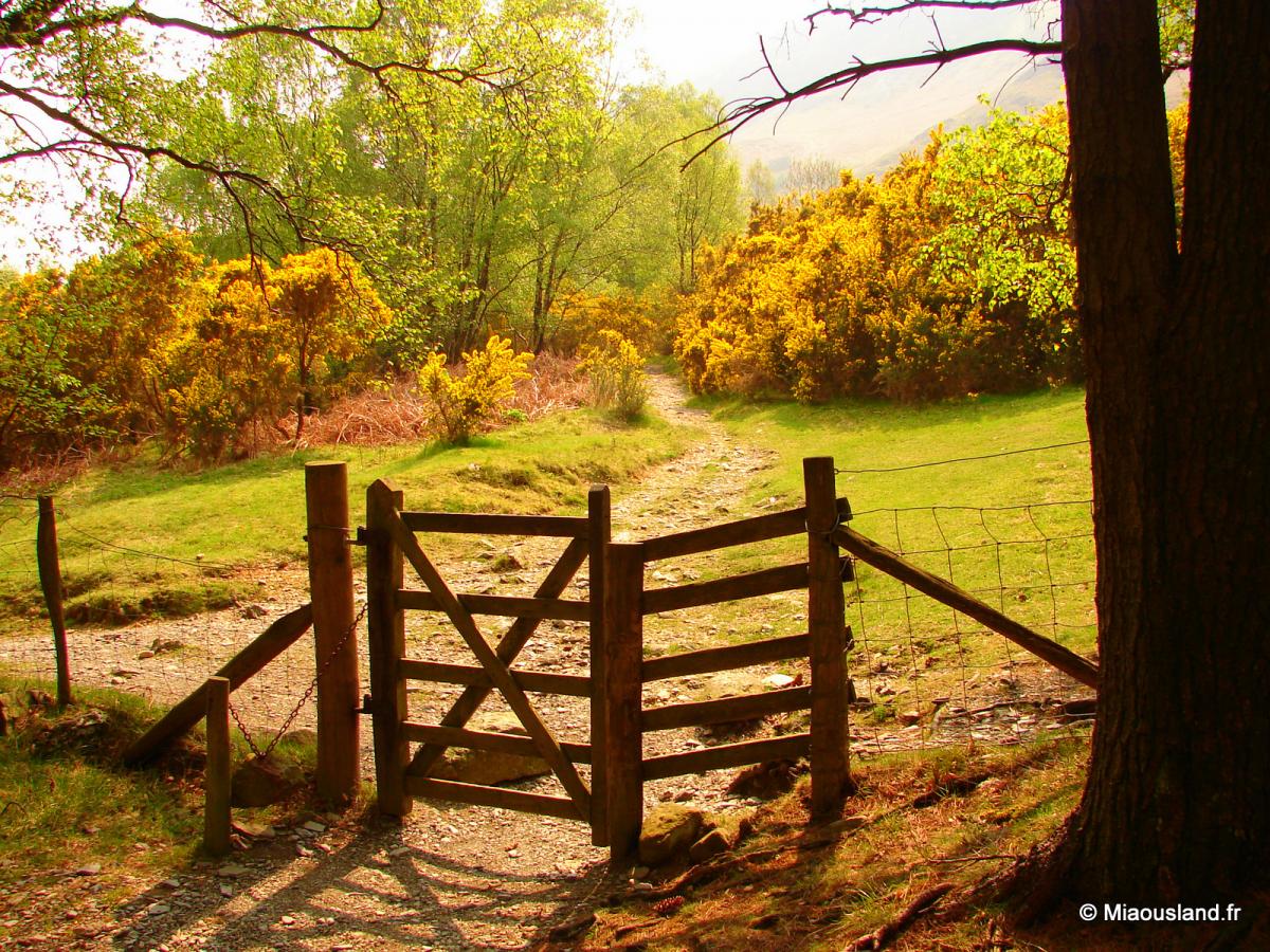 11 - Keswich - Portal