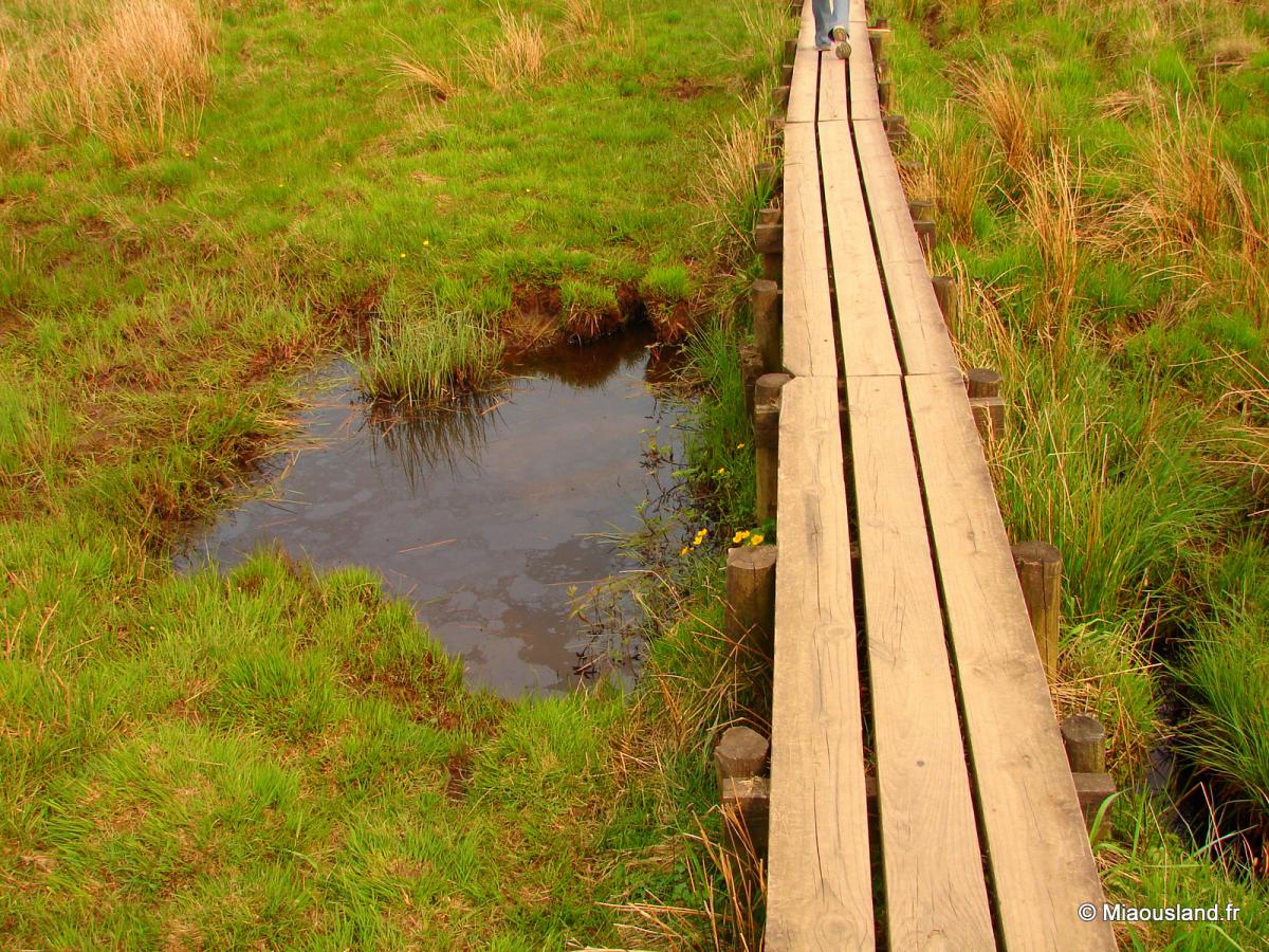 13 - Keswich - Lakes