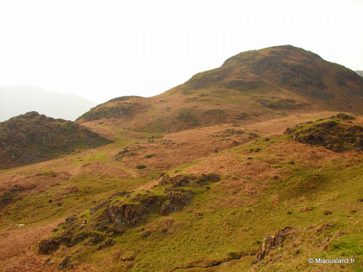 53 - Over Elterwater - 