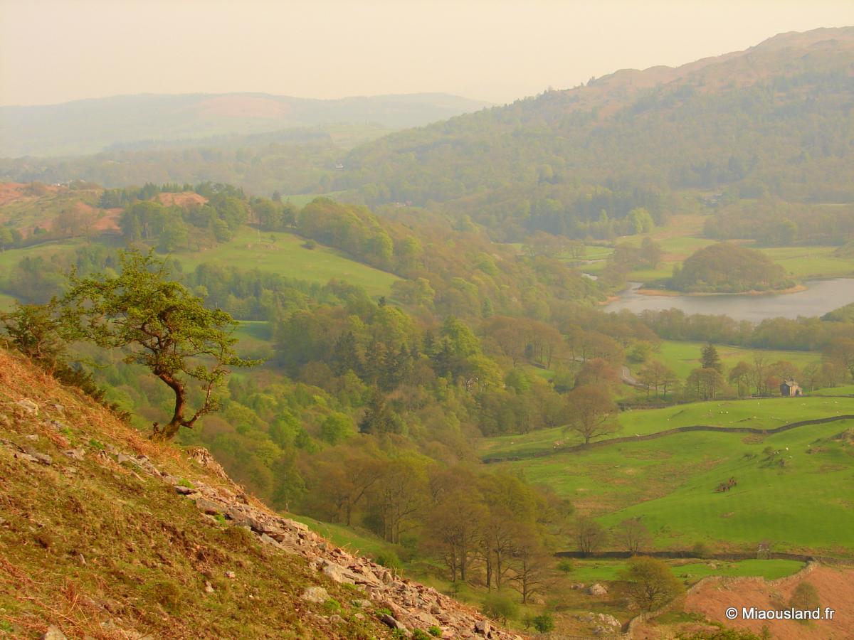 54 - Over Elterwater - 