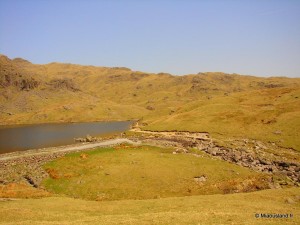 28 - The Pike - Lake