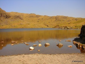 29 - The Pike - Lake