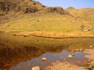 30 - The Pike - Reflections