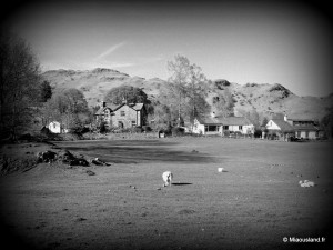 33 - Aroud Elterwater - 