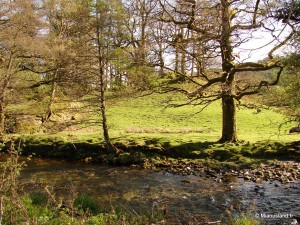 35 - Aroud Elterwater - 