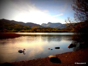 37 - Aroud Elterwater - 