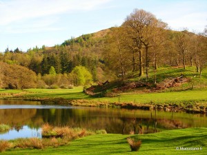 38 - Aroud Elterwater - 