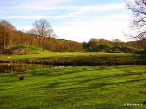 41 - Aroud Elterwater - 