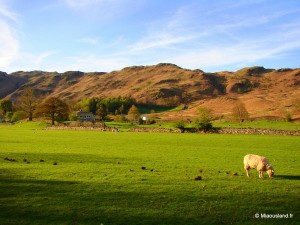 42 - Aroud Elterwater - 