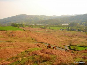 43 - Over Elterwater - 