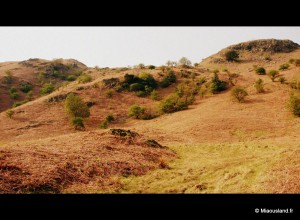 56 - Over Elterwater - 