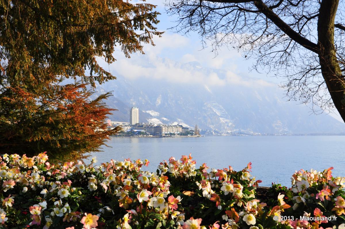 77 - Montreux