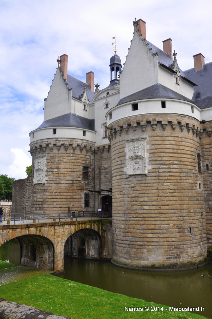 009 - Nantes 2014
