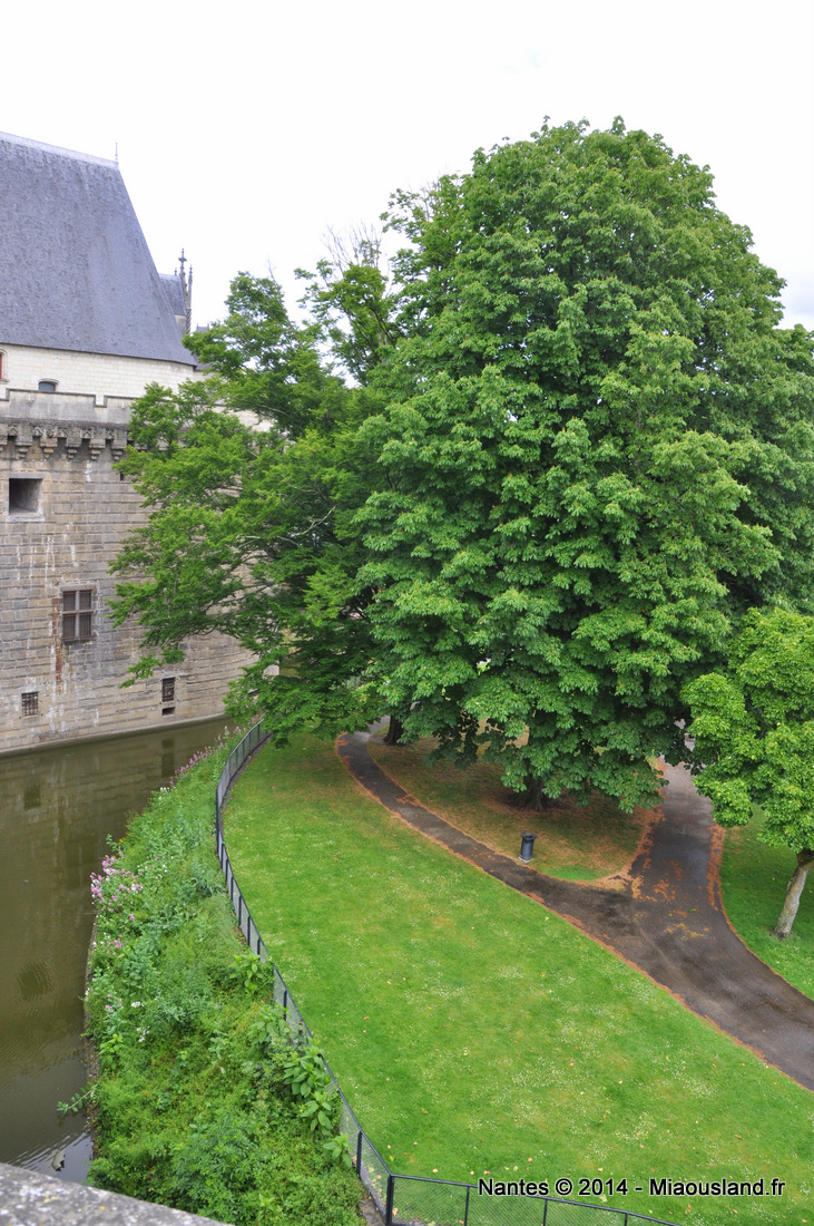 019 - Nantes 2014