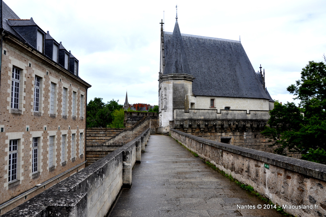 021 - Nantes 2014