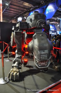 029 - Paris Games Week 2013