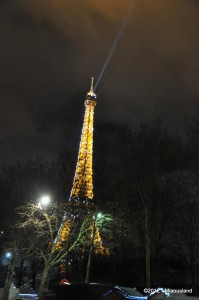 29 - Christmas in Paris