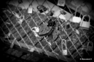 Pont des arts 2