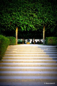 Statue Jardin du louvres