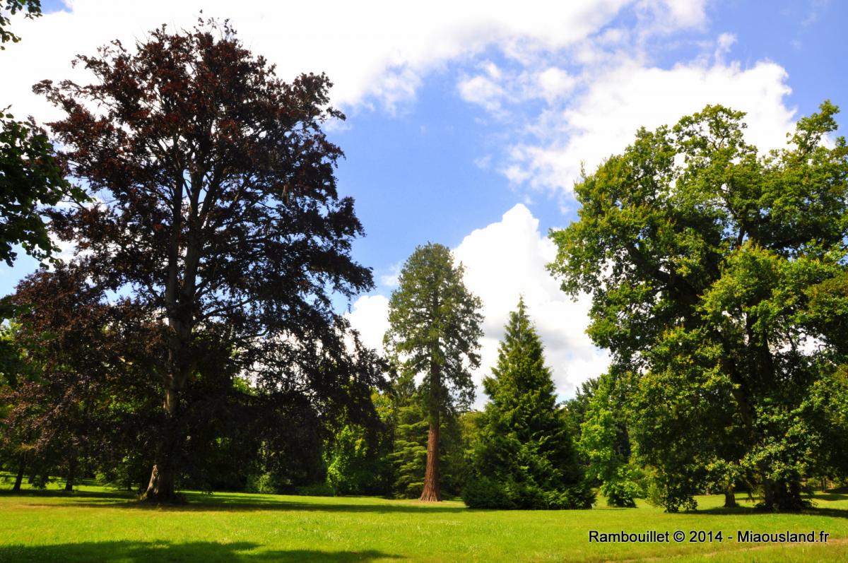 002 - Rambouillet 2014