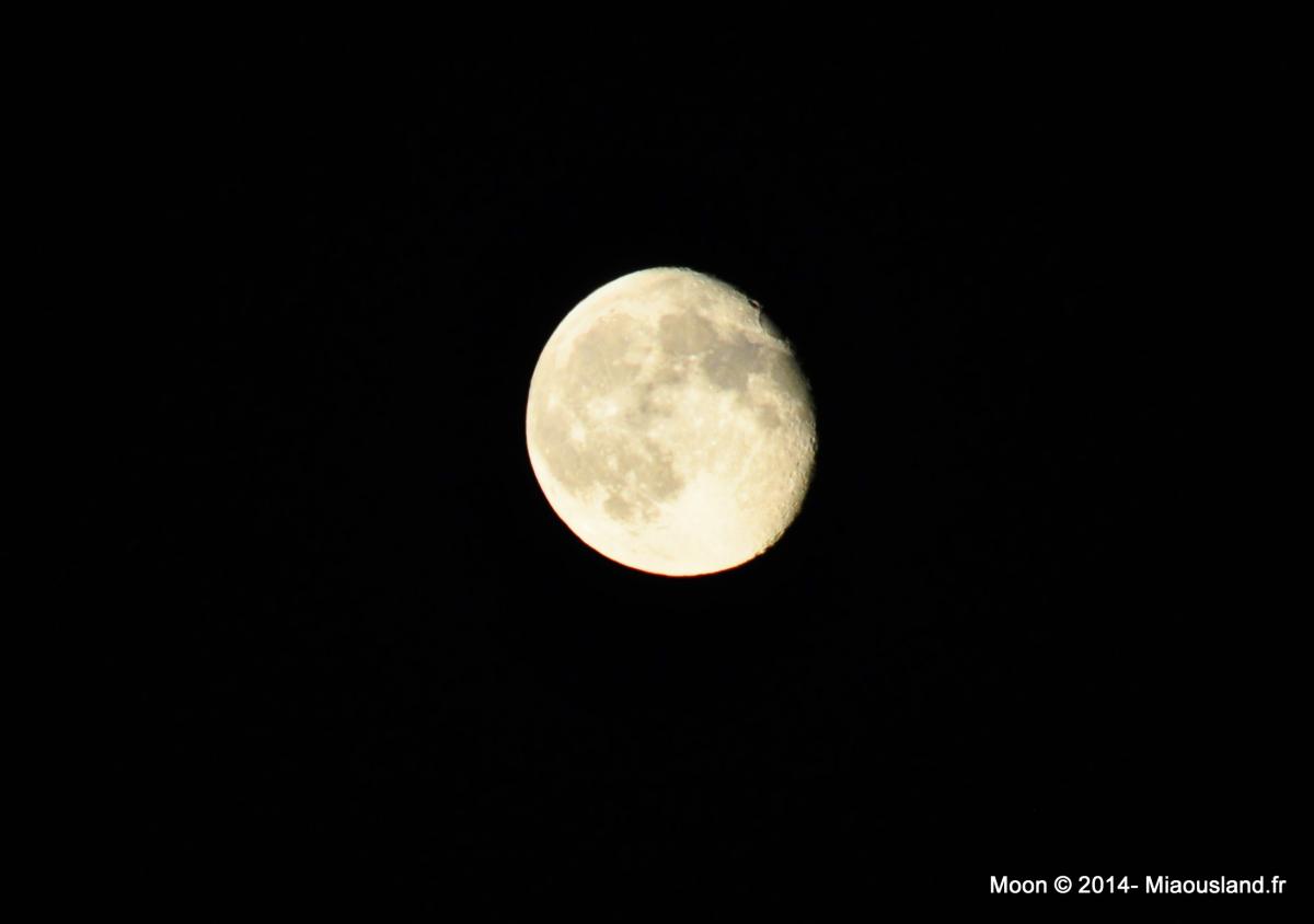 006 - Rambouillet 2014