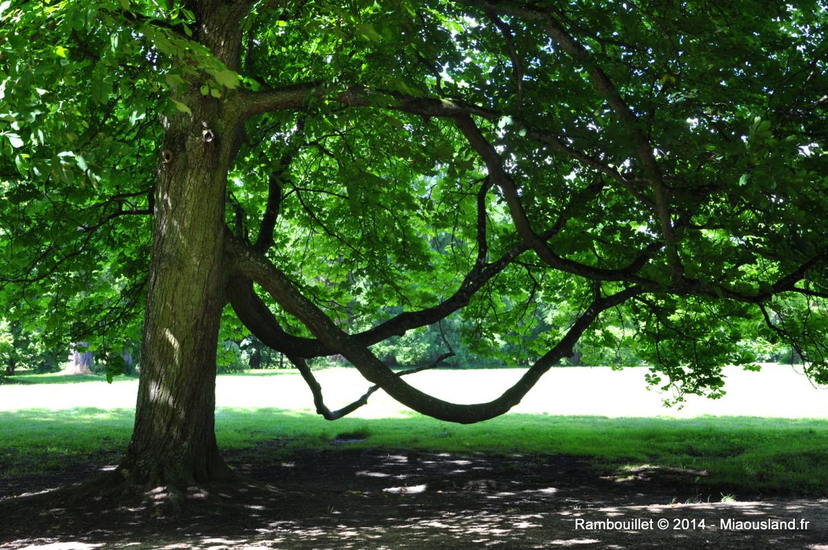 015 - Rambouillet 2014