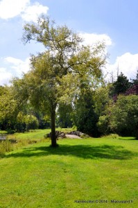 007 - Rambouillet 2014