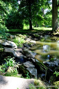 009 - Rambouillet 2014