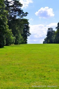 024 - Rambouillet 2014