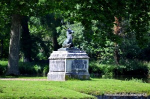 026 - Rambouillet 2014