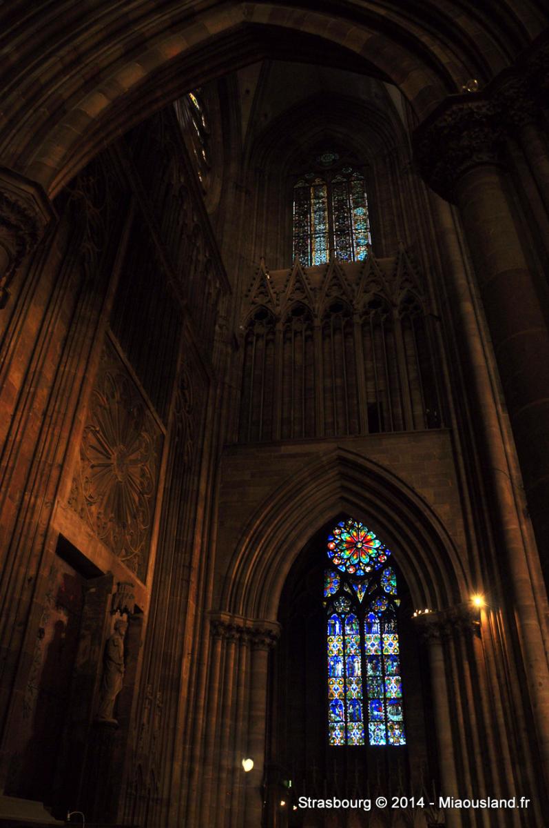 008 - Strasbourg 2014