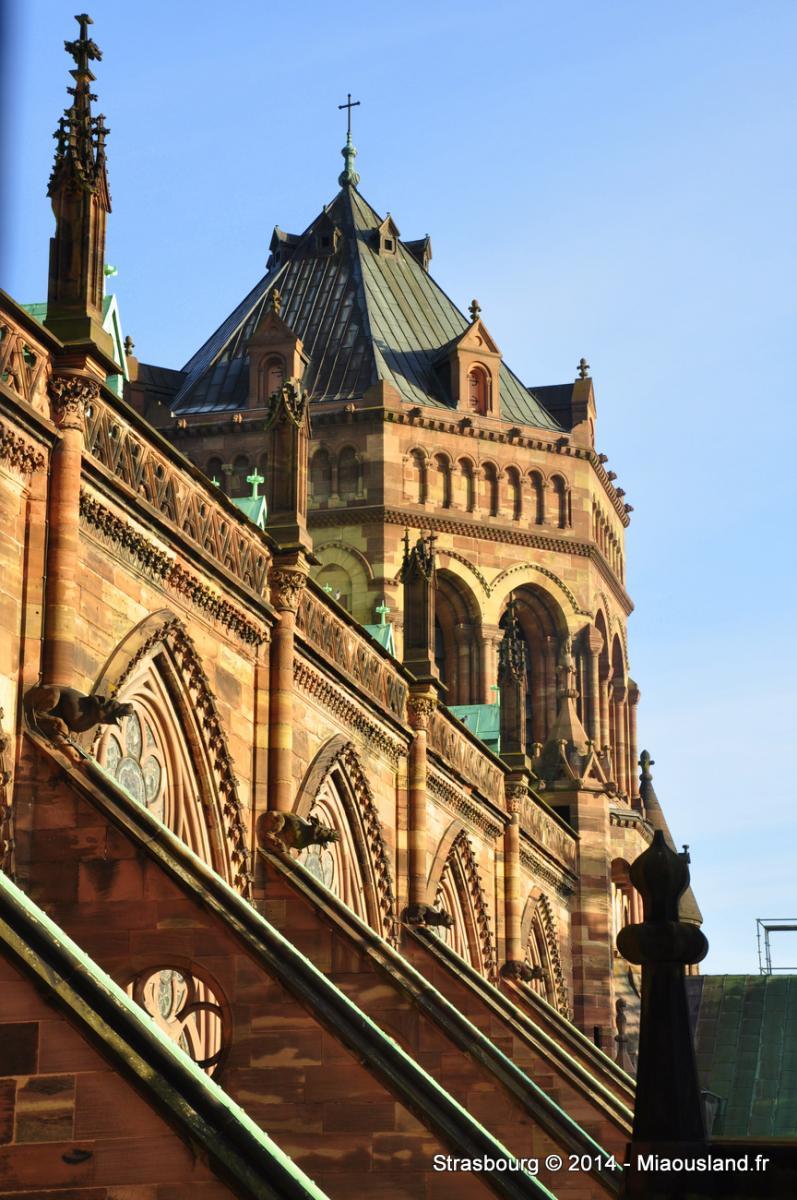 013 - Strasbourg 2014